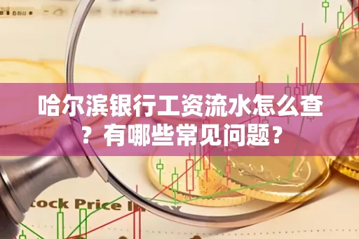哈尔滨银行工资流水怎么查?有哪些常见问题? 哈尔滨银行工资流水怎么查?有哪些常见问题?